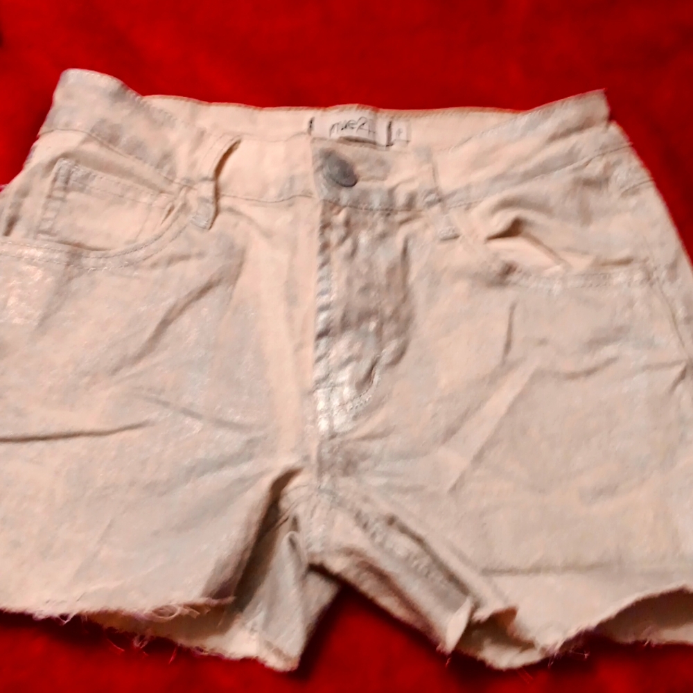 Rue 21, Shiney silver, cut off denim shorts.